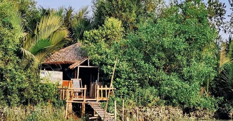 সুন্দরবনে রিসোর্ট মালিক ও দুই পর্যটক অপহরণ: ৪০ লাখ টাকা মুক্তিপণ দাবি বনদস্যুদের